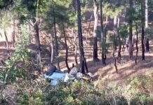 उत्तराखंड : दर्दनाक हादसा, खाई में गिरी मैक्स, 2 लोगों की मौत, 8 घायल Tragic accident in Almora, Uttarakhand, Max falls into a ditch
