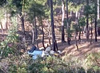 उत्तराखंड : दर्दनाक हादसा, खाई में गिरी मैक्स, 2 लोगों की मौत, 8 घायल Tragic accident in Almora, Uttarakhand, Max falls into a ditch