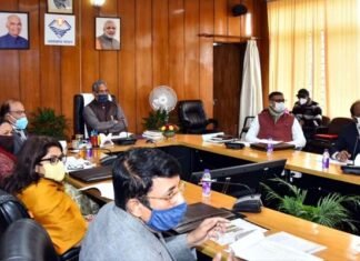 उत्तराखंड में आस्ट्रेलियन टीक एवं काली मिर्च की खेती को बढ़ावा देने के लिए इस क्षेत्र के विशेषज्ञों से राय ली जाय : सीएम त्रिवेन्द्र cultivation of Australian teak and pepper in Uttarakhand