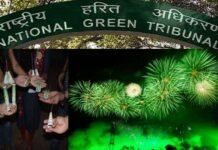 उत्तराखंड के इन 6 शहरों में दीपावली में सिर्फ ग्रीन पटाखे ही जलाए जा सकेंगे ngt green crackers