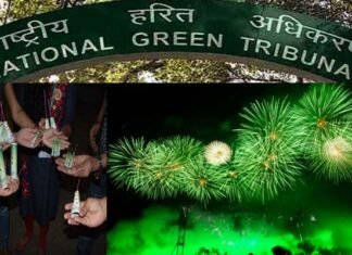 उत्तराखंड के इन 6 शहरों में दीपावली में सिर्फ ग्रीन पटाखे ही जलाए जा सकेंगे ngt green crackers