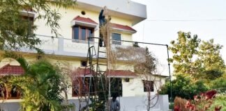 उत्तराखंड : पहाड़ के इस किसान ने उगाया 18 फीट ऊंचा बथुआ का पौधा, गिनीज बुक में दर्ज होगा नाम tallest-Bathua-plant