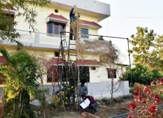 उत्तराखंड : पहाड़ के इस किसान ने उगाया 18 फीट ऊंचा बथुआ का पौधा, गिनीज बुक में दर्ज होगा नाम tallest-Bathua-plant