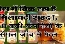 CSE की जाँच में ख़ुलासा, देश में बिक रहा है मिलावटी शहद, पतंजलि, डाबर, बैद्यनाथ और झंडू समेत देश के 10 बड़े ब्रांड्स के शहद शुद्धता जांच में फेल मिलावटी शहद