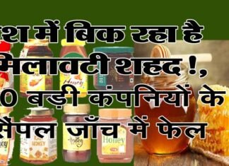 CSE की जाँच में ख़ुलासा, देश में बिक रहा है मिलावटी शहद, पतंजलि, डाबर, बैद्यनाथ और झंडू समेत देश के 10 बड़े ब्रांड्स के शहद शुद्धता जांच में फेल मिलावटी शहद