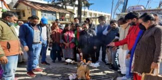 पौड़ी में कांग्रेसियो ने केन्द्र सरकार का पुतला दहन कर किया महंगाई का विरोध Congressmen protest against inflation