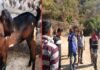 पौड़ी गढ़वाल : बकरा क्रिकेट प्रतियोगिता की विजेता टीम ने ट्रॉफी के साथ जीता बकरा, क्षेत्र के सबसे बड़े व अनोखे क्रिकेट टूर्नामेंट में 22 टीमों ने लिया भाग goat-cricket-tournament