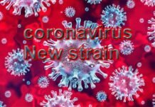 भारत पहुंचा कोरोना वायरस का नया स्ट्रेन, ब्रिटेन से हाल ही में लौटे 6 लोगों में हुई कोरोना वायरस के नए स्ट्रेन की पुष्टि, स्वास्थ्य विभाग अलर्ट coronavirus-new-strain