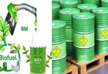 सॉलिड वेस्ट मैनेजमेंट : इस्तेमाल किए गए कुकिंग तेल से बनेगा हरित ईंधन या बायो डीजल Green fuel or bio diesel will be made from the cooking oil used