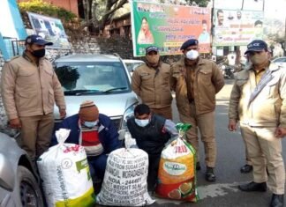 सतपुली में चेकिंग के दौरान 42 किलो गांजा के साथ दो गिरफ्तार Two arrested with 42 kg of-hemphemp