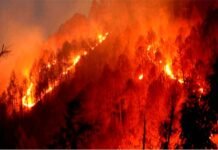 उत्तराखंड : इस गाँव में घरों तक पहुंची जंगल की आग, सास-बहू झुलसीं, हालत गंभीर fire-in-uttarakhand-villages