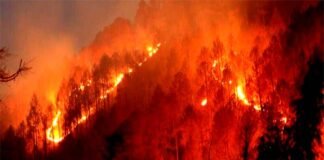 वनों में आग लगाने वालों की सूचना देने वाले को मिलेगा 10 हजार का इनाम, दोषियों के खिलाफ होगी कड़ी कार्रवाई fire-in-uttarakhand-villages