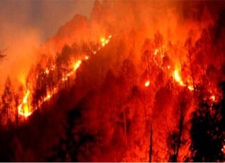 वनों में आग लगाने वालों की सूचना देने वाले को मिलेगा 10 हजार का इनाम, दोषियों के खिलाफ होगी कड़ी कार्रवाई fire-in-uttarakhand-villages