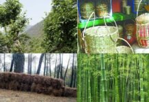 उत्तराखंड में बांस, भीमल, पिरुल, रिंगाल का चमकेगा कारोबार, बड़े शहरों में खुलेंगे हस्तशिल्प उत्पादों के इम्पोरियम Bamboo-Bhimal-Pirul-Ringal-handicrafts