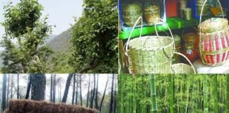 उत्तराखंड में बांस, भीमल, पिरुल, रिंगाल का चमकेगा कारोबार, बड़े शहरों में खुलेंगे हस्तशिल्प उत्पादों के इम्पोरियम Bamboo-Bhimal-Pirul-Ringal-handicrafts