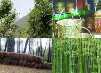 उत्तराखंड में बांस, भीमल, पिरुल, रिंगाल का चमकेगा कारोबार, बड़े शहरों में खुलेंगे हस्तशिल्प उत्पादों के इम्पोरियम Bamboo-Bhimal-Pirul-Ringal-handicrafts