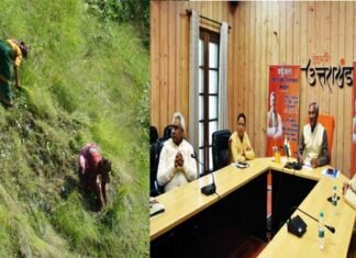 उत्तराखंड में अब महिलाओं को घास के बोझ से मिलेगी निजात, मुख्यमंत्री घसियारी कल्याण योजना पर कैबिनेट की मंजूरी Ghassiyari-kalyan-yojna