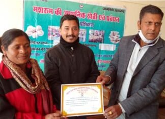 कल्जीखाल ब्लॉक के 30 युवाओं ने लिया मशरूम की आधुनिक खेती का प्रशिक्षण, जिला उद्यान अधिकारी ने युवाओं को बांटे प्रमाण पत्र youths took training in modern cultivation of mushrooms