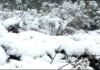 Snowfall in Uttarakhand : उत्तराखंड में पहाड़ों ने ओढ़ी बर्फ की सफ़ेद चादर, मैदानी इलाकों में शीत लहर snowfall-in-uttarakhand