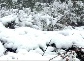 Snowfall in Uttarakhand : उत्तराखंड में पहाड़ों ने ओढ़ी बर्फ की सफ़ेद चादर, मैदानी इलाकों में शीत लहर snowfall-in-uttarakhand