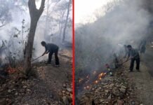 चमासू के जंगलों में लगी आग, दमकल की गाड़ी आग बुझाने पहुंची मौके पर Fire in Chamsu forest