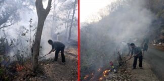 चमासू के जंगलों में लगी आग, दमकल की गाड़ी आग बुझाने पहुंची मौके पर Fire in Chamsu forest