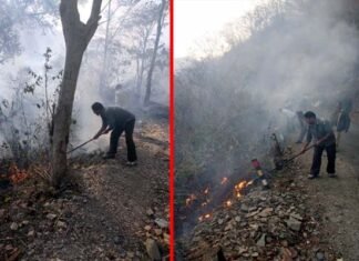 चमासू के जंगलों में लगी आग, दमकल की गाड़ी आग बुझाने पहुंची मौके पर Fire in Chamsu forest