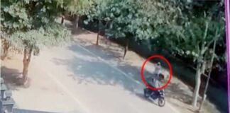 घर के बाहर डॉगी घुमा रही शिक्षिका से बदमाशों ने लूटी सोने की चेन, सोशल मीडिया पर वीडियो वायरल के बाद पुलिस ने दर्ज किया मुकदमा miscreants-looted-gold-chain