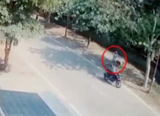 घर के बाहर डॉगी घुमा रही शिक्षिका से बदमाशों ने लूटी सोने की चेन, सोशल मीडिया पर वीडियो वायरल के बाद पुलिस ने दर्ज किया मुकदमा miscreants-looted-gold-chain