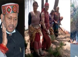 CM तीरथ का बड़ा फैसला: उत्तराखंड में आग बुझाने के लिए 5 हजार महिला वन प्रहरी सहित 10 हजार वन प्रहरियों की होगी नियुक्ति women forest guards in uttarakhand