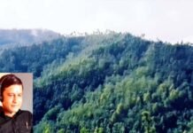 सिविल सोयम भूमि खत्म होने से उत्तराखण्ड में सड़कों का निर्माण ठप, सामाजिक कार्यकर्ता मोहन चंद्र उपाध्याय ने सीएम से लेकर पीएम तक लगाई गुहार Civil-Soyam-land