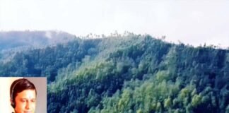 सिविल सोयम भूमि खत्म होने से उत्तराखण्ड में सड़कों का निर्माण ठप, सामाजिक कार्यकर्ता मोहन चंद्र उपाध्याय ने सीएम से लेकर पीएम तक लगाई गुहार Civil-Soyam-land