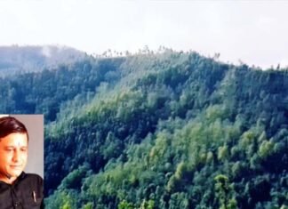 सिविल सोयम भूमि खत्म होने से उत्तराखण्ड में सड़कों का निर्माण ठप, सामाजिक कार्यकर्ता मोहन चंद्र उपाध्याय ने सीएम से लेकर पीएम तक लगाई गुहार Civil-Soyam-land