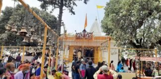 डांडा नागराजा मेले में रही भक्तों की भीड़, कोरोना का खौफ भी नही डगमगा सका श्रद्धालुओं की आस्था danda-nagraja-mela