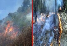 कल्जीखाल : घण्डियाल क्षेत्र के रिहायशी इलोकों में पहुंची भीषण आग, ग्रामीणों की सूझबूझ एवं मशक्कत के बाद आग पर पाया काबू fire-in-ghandiyal