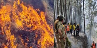 पौड़ी जनपद के समस्त तहसीलों के क्षेत्रान्तर्गत वनाग्नि बुझाने का मॉक ड्रिल अभ्यास fire-in-ghandiyal-area