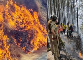 पौड़ी जनपद के समस्त तहसीलों के क्षेत्रान्तर्गत वनाग्नि बुझाने का मॉक ड्रिल अभ्यास fire-in-ghandiyal-area