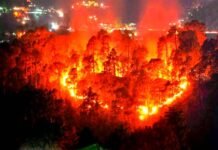 उत्तराखंड के जंगलों में बेकाबू हुई आग, मुख्यमंत्री के अनुरोध पर केंद्र से मिले दो हेलीकाप्टर, एनडीआरएफ की टीमें संभालेंगी मोर्चा fire in uttarakhand forest latest news