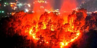 उत्तराखंड के जंगलों में बेकाबू हुई आग, मुख्यमंत्री के अनुरोध पर केंद्र से मिले दो हेलीकाप्टर, एनडीआरएफ की टीमें संभालेंगी मोर्चा fire in uttarakhand forest latest news