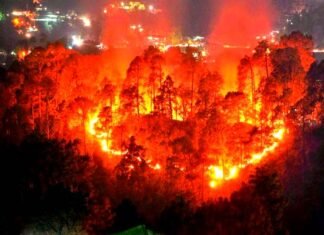 उत्तराखंड के जंगलों में बेकाबू हुई आग, मुख्यमंत्री के अनुरोध पर केंद्र से मिले दो हेलीकाप्टर, एनडीआरएफ की टीमें संभालेंगी मोर्चा fire in uttarakhand forest latest news