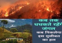 उत्तराखंड की तरक्की, विकास एवं समस्याओं का समाधान सिर्फ उत्तराखंड के क्षेत्रीय दल ही कर सकते हैं :मोहन ढौडियाल fire-in-uttarakhand-forest
