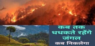 उत्तराखंड की तरक्की, विकास एवं समस्याओं का समाधान सिर्फ उत्तराखंड के क्षेत्रीय दल ही कर सकते हैं :मोहन ढौडियाल fire-in-uttarakhand-forest