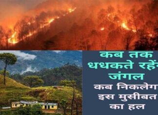 उत्तराखंड की तरक्की, विकास एवं समस्याओं का समाधान सिर्फ उत्तराखंड के क्षेत्रीय दल ही कर सकते हैं :मोहन ढौडियाल fire-in-uttarakhand-forest