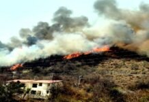 उत्तराखंड : गढ़वाल विश्वविद्यालय श्रीनगर के चौरास स्थित आवासीय परिसर तक पहुंची जंगल की आग fire near chauras campus srinagar garhwal