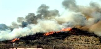 उत्तराखंड : गढ़वाल विश्वविद्यालय श्रीनगर के चौरास स्थित आवासीय परिसर तक पहुंची जंगल की आग fire near chauras campus srinagar garhwal