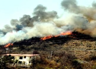 उत्तराखंड : गढ़वाल विश्वविद्यालय श्रीनगर के चौरास स्थित आवासीय परिसर तक पहुंची जंगल की आग fire near chauras campus srinagar garhwal