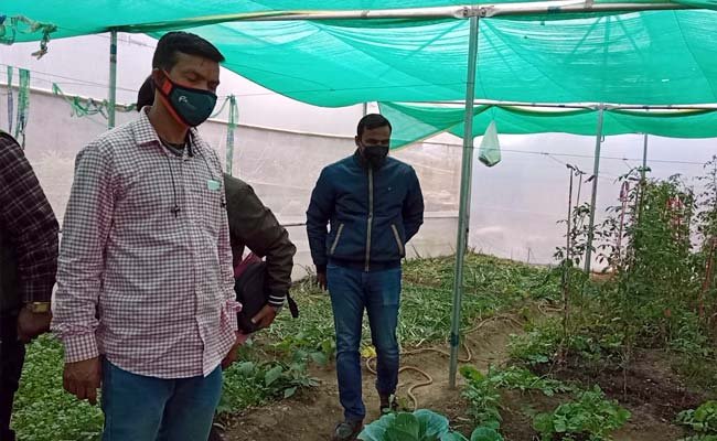mushroom-farm-in-Pokhada