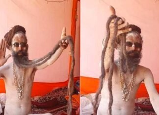 हरिद्वार महाकुंभ में पहुंचे नागा बाबा ने 27 साल से नहीं बनाई दाढ़ी, करीब 6 फुट लंबी हो चुकी है बाबा की दाढ़ी Haridwar Mahakumbh, Naga Baba's beard is about 6 feet long, baba did not shave for 27 years