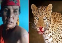 पौड़ी गढ़वाल : खेत में घास काटती महिला पर झपटा गुलदार Leopard attacked woman