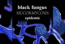 अब उत्तराखंड में भी ब्लैक फंगस महामारी घोषित, जानिए देशभर में ब्लैक फंगस के कहाँ कितने मामले? black-fungus-Mucor mycosis